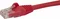 StarTech RNS PVC Patchkabel, Cat6, U/UTP, RJ-45/RJ-45, 5m, rot Vorschaubild