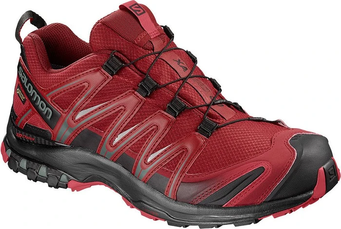 Salomon XA Pro 3D GTX (Herren)