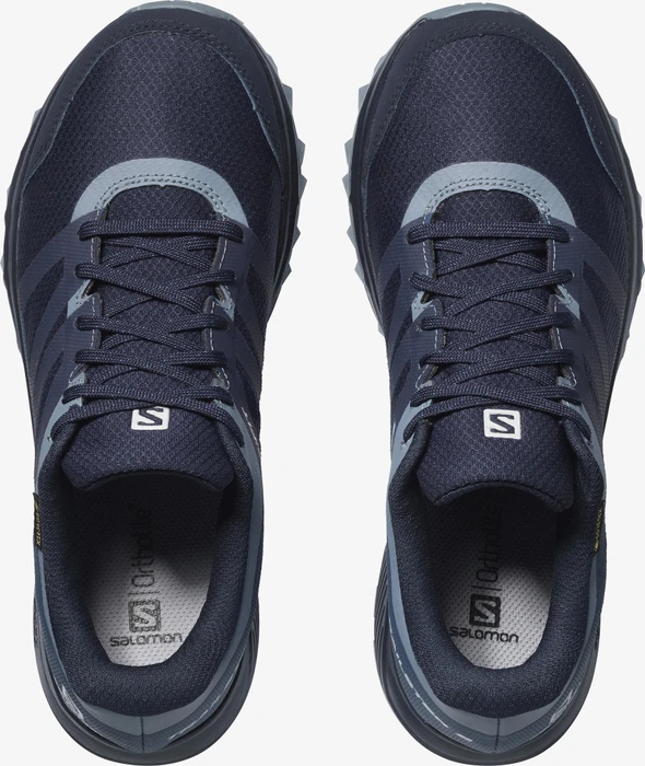 Salomon Trailster 2 GTX navy blazer/sargasso sea/flint stone (Damen)
