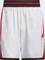 adidas Crazy Lite Trainingshose kurz dash grey/pure ruby (Herren) Vorschaubild