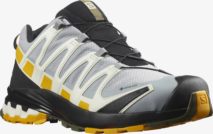 Salomon XA Pro 3D V8 GTX quarry/saffron/olive night (Herren)