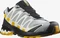 Salomon XA Pro 3D V8 GTX quarry/saffron/olive night (Herren) Vorschaubild