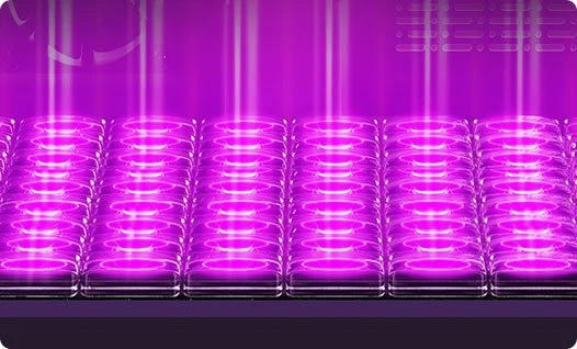 Flashforge Foto 13.3