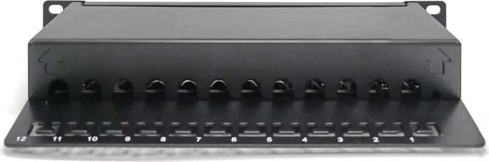 Digitus Professional Patchpanel Cat6a, 10" , geschirmt, 12-Port, 10", schwarz