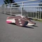 adidas Adizero SL2 shadow fig/zero metalic/lucid pink (Damen) Vorschaubild