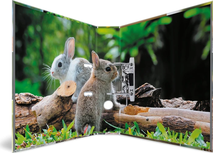 Herma Ordner 2-Ring mit Motiv, 70mm, A4, Animals Nagetiere
