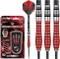 Winmau Dennis Priestley Steel Dart Dartpfeil 24g Vorschaubild