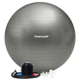 Tunturi 75cm Gymnastikball silber