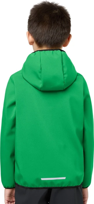 Jack Wolfskin Fourwinds Funktionsjacke mystic green (Junior)