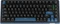 Ducky OK-M-75, Black and Blue, KKT Baby Blue Tactile, USB/Bluetooth, US Vorschaubild
