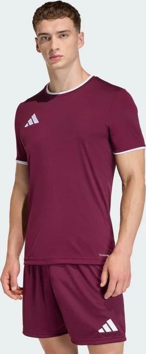 adidas Entrada 26 Trikot kurzarm (Herren)