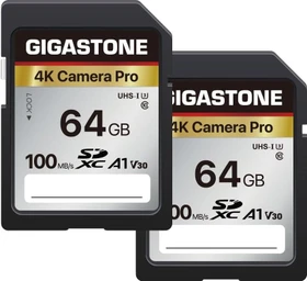 Gigastone 4k Camera Pro R100 64GB, UHS-I U3, A1, Class 10, 2er-Pack