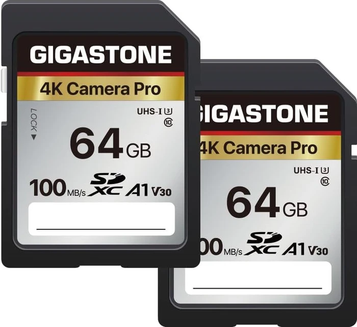 Gigastone 4k Camera Pro R100 64GB, UHS-I U3, A1, Class 10, 2er-Pack
