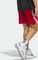 adidas Icon Squad Shorts team power red/white (Herren) Vorschaubild