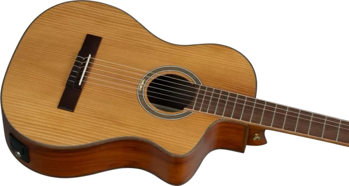 Ortega RCE23RO