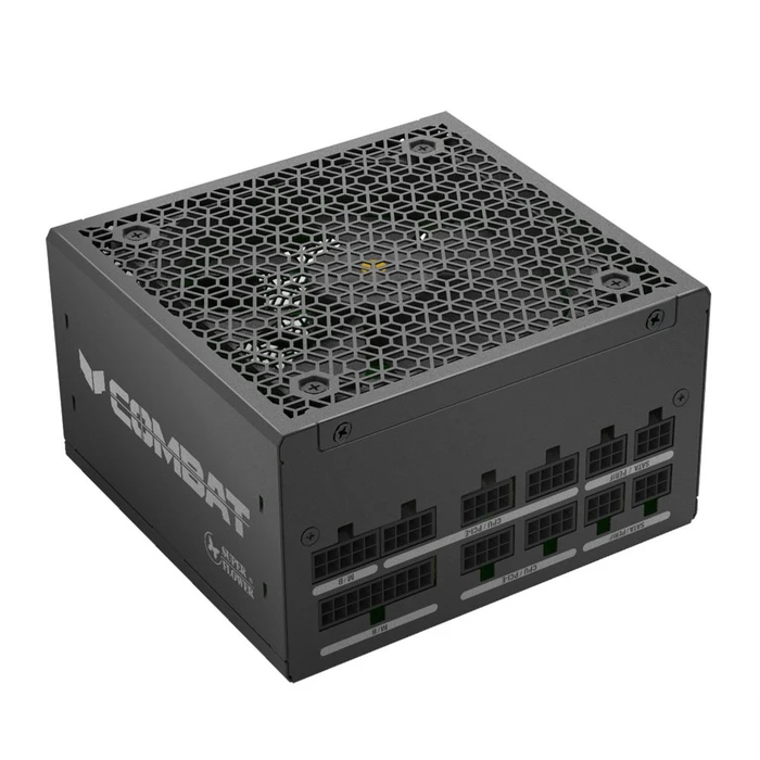 Super Flower Combat FG 80 PLUS Gold 850W, ATX 3.1