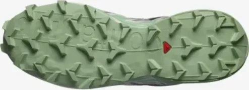 Salomon Speedcross 6 castlerock/vanilla ice/smoke green (Damen)