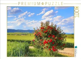Calvendo Fest der Rose an der Südlichen Weinstrasse. Ein Motiv aus dem Kalender Wanderparadies Südliche Weinstrasse