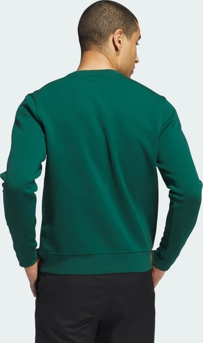 adidas Sweatshirt Sweatshirt collegiate green (Herren)