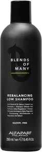Alfaparf Blends of Many Rebalancing Low Shampoo, 250ml