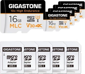 Gigastone 10x High Endurance R95/W30 16GB Kit, UHS-I U3, Class 10, 5er-Pack
