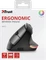 Trust Bayo Wireless Rechargeable Ergonomic Mouse, schwarz/grau, USB Vorschaubild