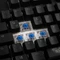 Ducky Shine 7 PBT, LEDs RGB, Blackout Edition, schwarz, MX RGB BLUE, USB, DE Vorschaubild