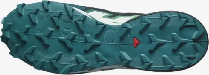 Salomon Speedcross 6 carbon/tahitian tide/white (Herren)