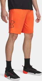 Under Armour Tech Grafik Hose kurz fire/black (Herren)