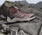 adidas Eastrail 2.0 Mid Rain.RDY warm clay/putty mauve/preloved fig (Damen) Vorschaubild