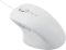 Rapoo N500 Silent Mouse weiß, USB Vorschaubild