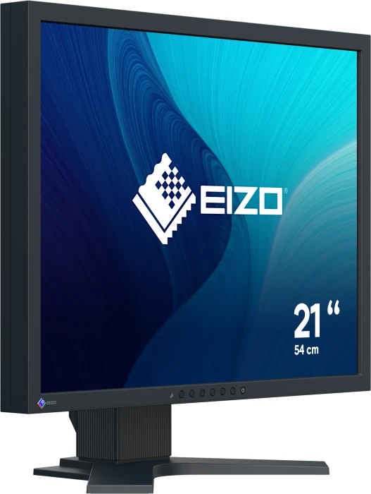 Eizo FlexScan S2134, schwarz, 21.3"