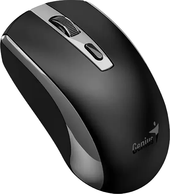 Genius ECO-8150 Copilot Wireless Rechargeable Optical Mouse schwarz/grau, USB