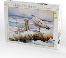 Calvendo Mit der Fähre zur InselEine Möwe wartet auf den Frühling