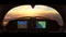 Microsoft Flight Simulator 2020 (Download) (PC) Vorschaubild