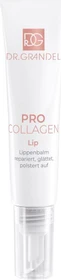 Dr. Grandel Pro Collagen Lip Aufpolsternde Lippenpflege, 15ml