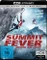 Summit Fever Vorschaubild