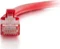 C2G Patchkabel, Cat6, U/UTP, RJ-45/RJ-45, 0.5m, rot Vorschaubild