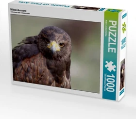 Calvendo Wüstenbussard