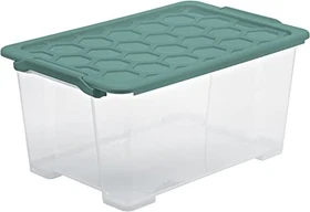 Rotho Evo Safe Keeping Aufbewahrungsbox, 44l, transparent/mistelgrün, inkl. Deckel