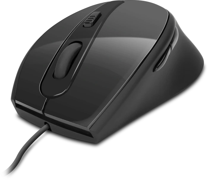 ISY ICM-3100 Mouse schwarz, USB