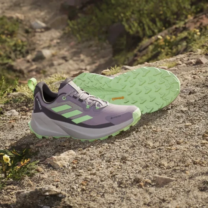 adidas Terrex Trailmaker 2.0 GTX preloved fig/green spark/charcoal (Damen)
