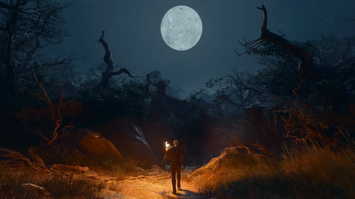 The Witcher 3: Wild Hunt - Songs of the Past (Download) (Add-on) (PC)