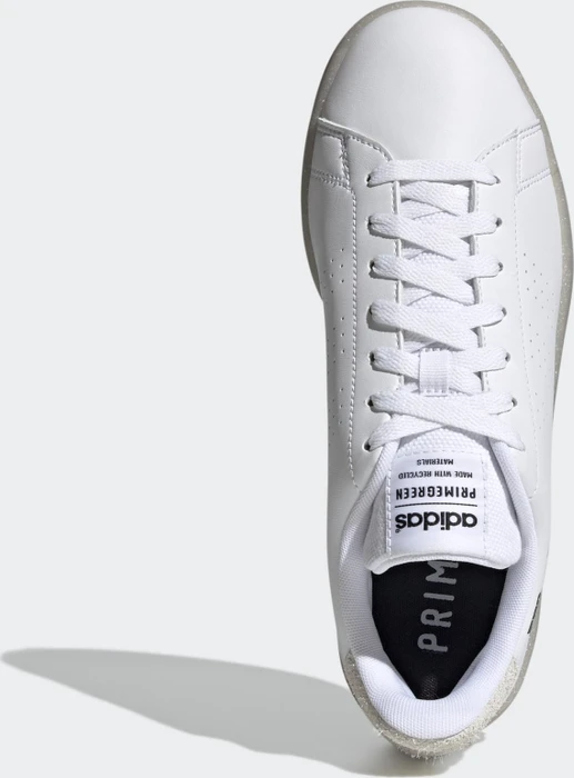 adidas Advantage The Simpsons cloud white/core black (Herren)