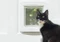 Sure Petcare SureFlap Connect Microchip XL Haustierklappe, weiß Vorschaubild