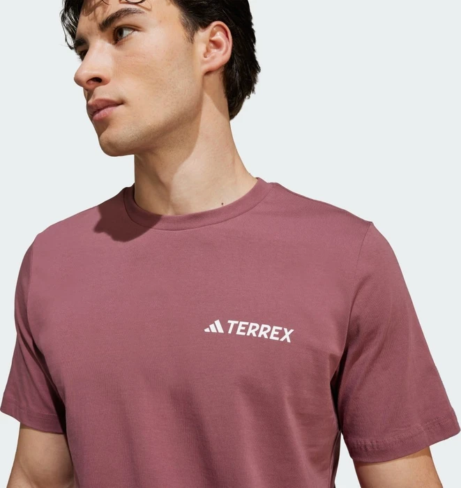 adidas Terrex Graphic T-Shirt kurzarm burgundy (Herren)