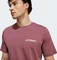 adidas Terrex Graphic T-Shirt kurzarm burgundy (Herren) Vorschaubild