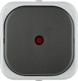 REV Ritter AquaTop Kontroll-Wechselschalter AP IP 44, grau