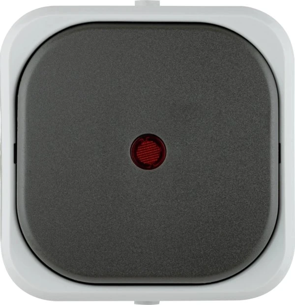 REV Ritter AquaTop Kontroll-Wechselschalter AP IP 44, grau