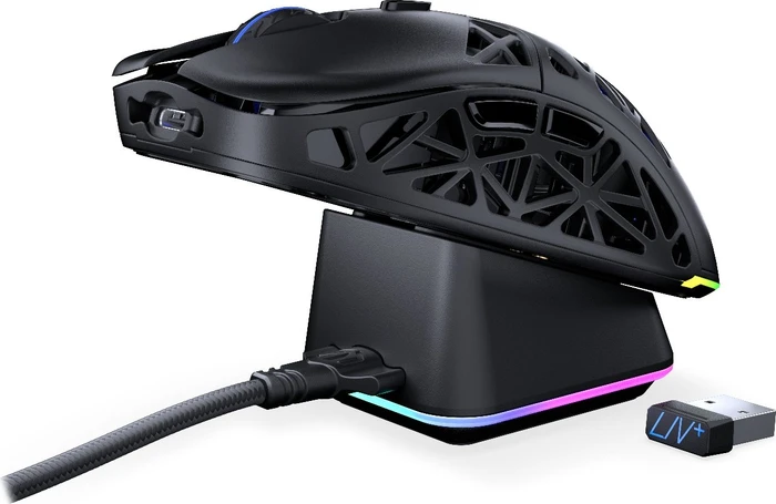 Endorfy LIV Plus Wireless, schwarz, USB/Bluetooth